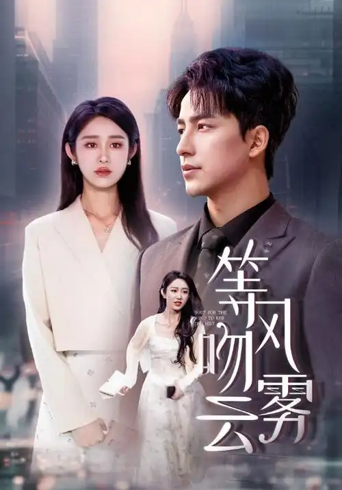 山河故人·新篇 剧集海报